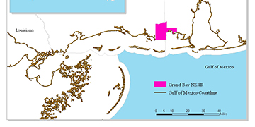 Ecological Monitoring of Coastal Wetlands with Real-Time Telemetry